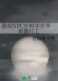 ϷNPCڿѧ籰΢